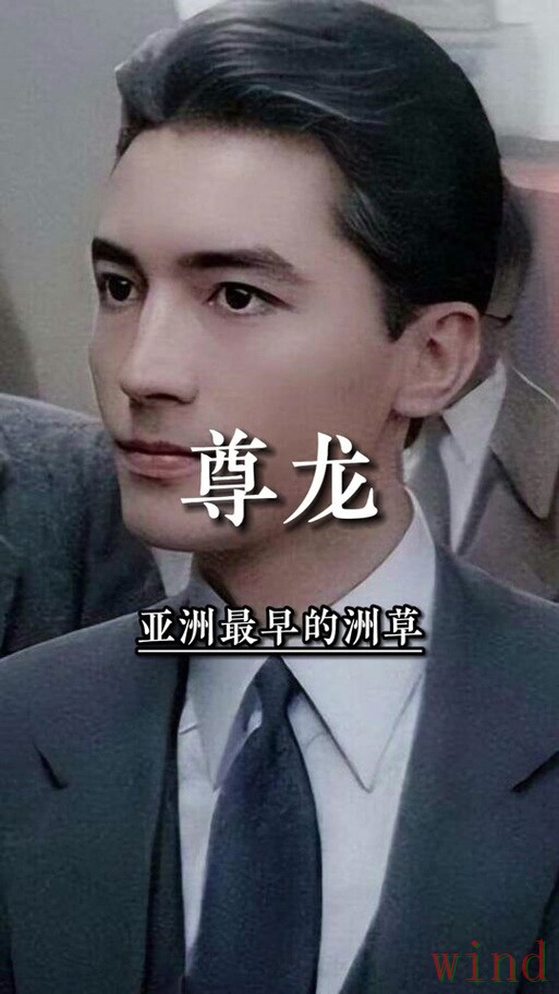 尊龙官方链接入口获取方式