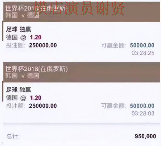 揭秘世界杯买球平台：从真实体验到使用全流程解析 - 世界杯官方信息
